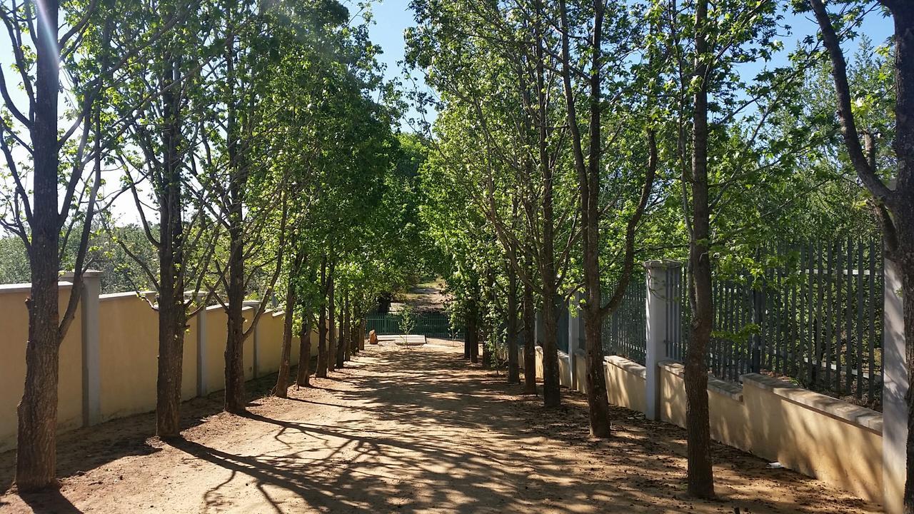 Amberhall Guesthouse Johannesburg Ngoại thất bức ảnh