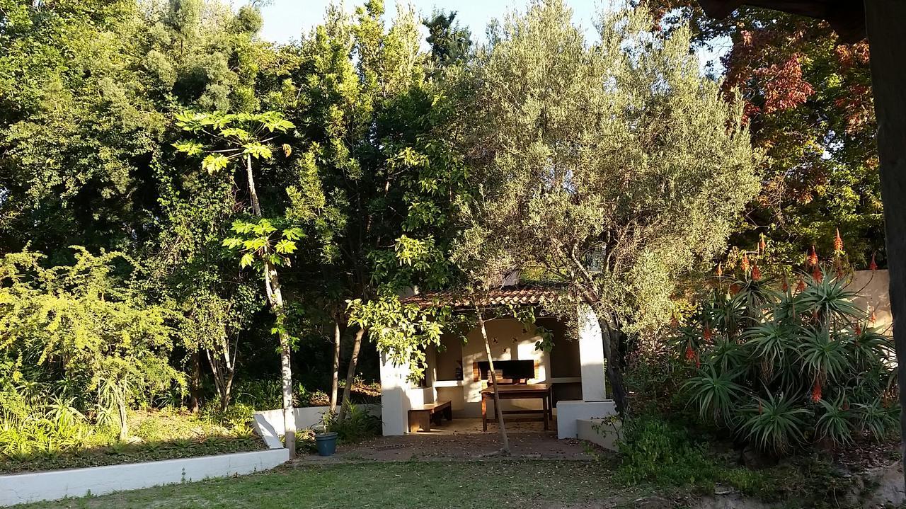 Amberhall Guesthouse Johannesburg Ngoại thất bức ảnh